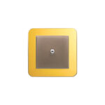 کلید یک پل اهرمی (مدل ارس) قاب رنگی زه طلایی میانی رنگی ایران الکتریک